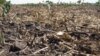 Partidos criticam reacção o do governo face à seca na Huíla