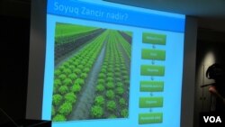 Soyuducu anbarlar və soyuducu təchizat zənciri mövzusunda seminar