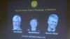 تصاویر برندگان جایزه نوبل پزشکی سال ۲۰۱۴ - به ترتیب از چپ: جان او کیف، می‌بريت موزر و ادوارد موزر