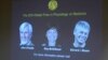 Three Share Nobel Prize for Discovering Brain's Navigation