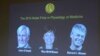 Three Scientists Win Nobel Prize for Brain Research