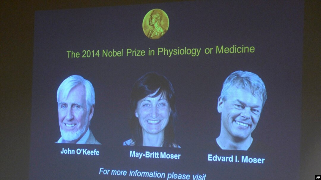 三名脑神经学家分享诺贝尔医学奖