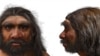 考古学家发现现代人还有一个同宗分支--“龙人”