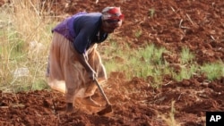 FILE - A Zimbabwean woman tills her vegetable plot.