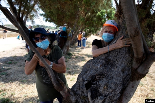 People take part in a campaign by Israel's Nature and Parks Authority calling on Israelis to join sightseeing tours and find comfort in tree hugging amid a spike in the coronavirus disease in Apollonia National Park, near Herzliya, Israel July 7, 2020. (Reuters)