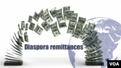 Diaspora Remittances