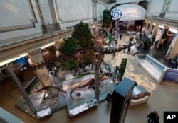 The Smithsonian's National Museum of Natural History's "David H. Koch Hall of Fossils-Deep Time" is seen during a media preview in Washington, Tuesday, June 4, 2019.