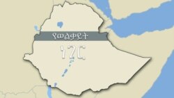 መደራጀት በአማራነት ወይንስ በክ/ሃገር