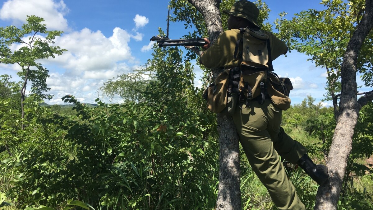 Zimbabwe Antipoaching Unit Scores Success