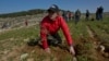 Future Rabbis Plant Trees with Palestinians