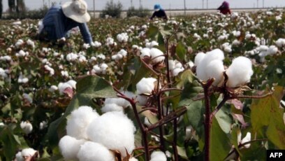 正式生效 美总统拜登签署法案禁止新疆强迫劳动产品进入美国