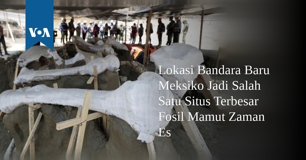 Lokasi Bandara Baru Meksiko Jadi Salah Satu Situs Terbesar Fosil Mamut ...