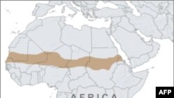 UNİCEF Afrikanın Sahel regionunda uşaqların aclıq riski qarşısında oduğunu bildirir