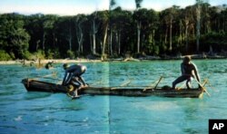 In this undated photo released by the Anthropological Survey of India, Sentinelese tribe men row their canoe in India's Andaman and Nicobar archipelago.