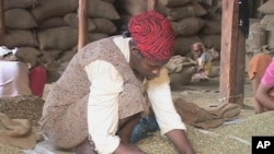 Workers inspect coffee beans in Ethiopia