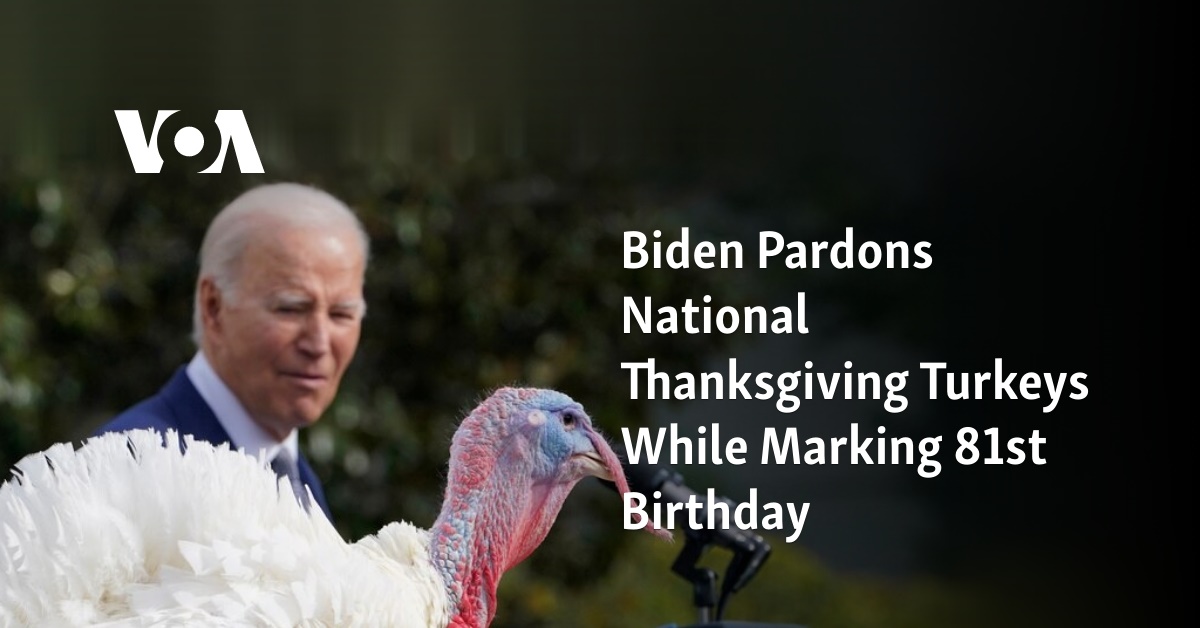 Biden Pardons National Thanksgiving Turkeys While Marking 81st Birthday