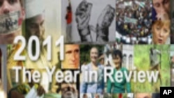 2011: The Year in Review