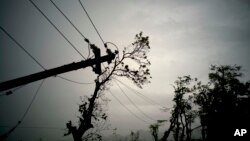 FILE - Power lines lay broken after the passage of Hurricane Maria in Dorado, Puerto Rico, Oct. 16, 2017.