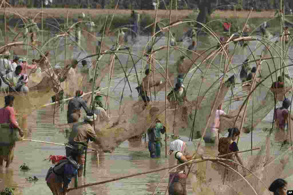 Dân làng Ấn Độ tham gia đánh cá cộng đồng trong dịp lễ Bhogali Bihu tại Hồ Goroimari ở làng Panbari, khoảng 50 km về phía đông thành phố Gauhati, Ấn Độ. Lễ &quot;Bhogali Bihu&quot; đánh dấu sự kết thúc mùa thu hoạch tại bang Assam. &nbsp;