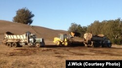 Truck being loaded with compost at the Stemple Creek Ranch in Tomales, California, which is participating in a decade-long trial carbon farming program. 