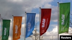 资料照片:德国化学公司巴斯夫公司的旗帜 