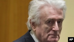 Former Bosnian Serb leader Radovan Karadzic enters the court room of the International Residual Mechanism for Criminal Tribunals in The Hague, Netherlands, Wednesday, March 20, 2019.