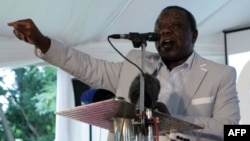 Zimbabwe's Prime Minister Morgan Tsvangirai addressing representatives of civic groups in Harare on February 13, 2013. 