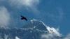 Seekor burung terbang dengan latar belakang puncak Gunung Everest, terlihat dari Namche Bajar, distrik Solukhumbu, Nepal, 27 Mei 2019. (Foto AP / Niranjan Shrestha, File)
