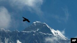 Seekor burung terbang dengan latar belakang puncak Gunung Everest, terlihat dari Namche Bajar, distrik Solukhumbu, Nepal, 27 Mei 2019. (Foto AP / Niranjan Shrestha, File)
