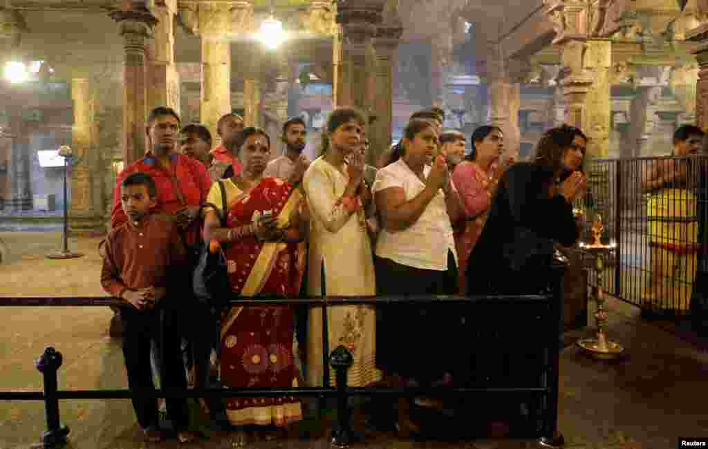 سری لنکا کے ساتھ ساتھ بھارت میں آباد تامل افراد بھی تھائی پونگل کا تہوار نہایت جوش و خروش سے مناتے ہیں۔ لوگوں کی بڑی تعداد مندروں کا رخ کرتی اور پوجا کرتی ہے۔