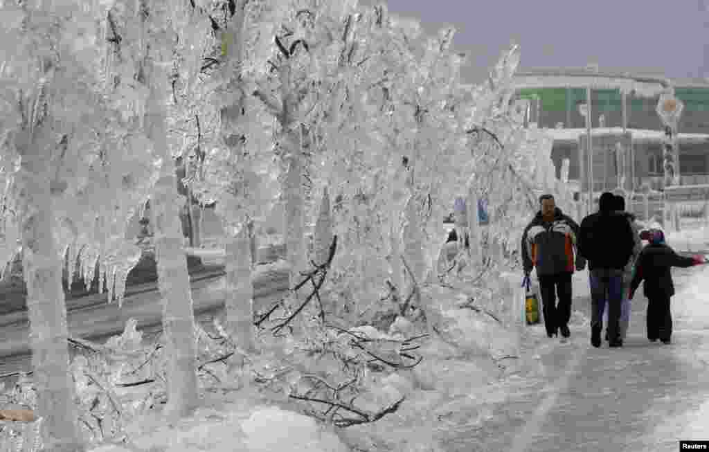 People walk next to trees covered with ice in Postojna, Slovenia. 