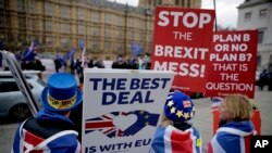 FILE - Anti-Brexit remain in the European Union supporter Steve Bray, left, holds placards as he demonstrates with others opposite the Houses of Parliament in London, Jan. 21, 2019. 