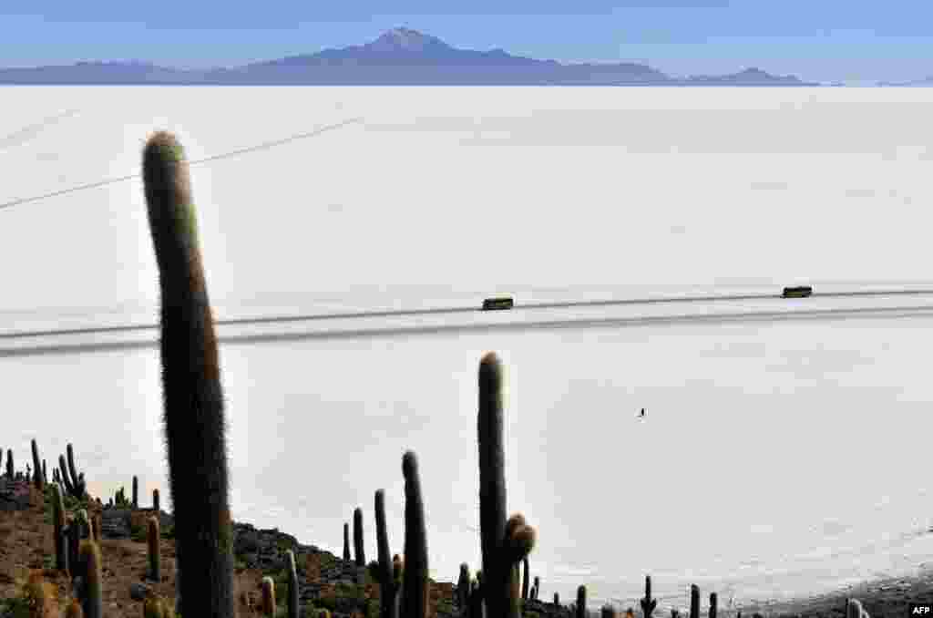 Buses drive through the Salar de Uyuni, the world&#39;s largest salt flat, in the Altiplano in southwestern Bolivia.