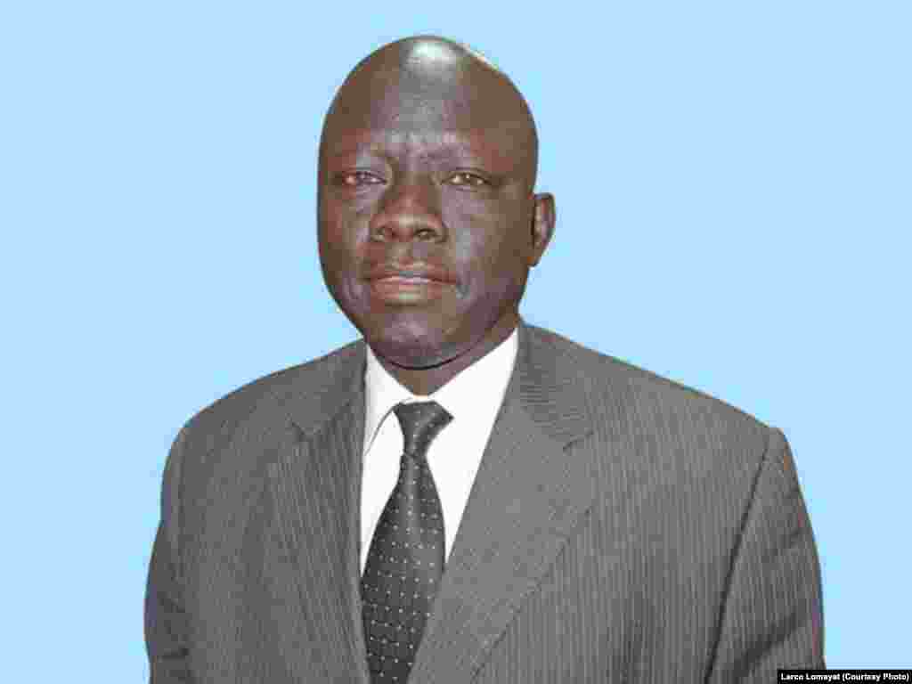 Former South Sudanese Telecommunications and Postal Services Minister Madut Biar Yel, one of seven political detainees who were released by the South Sudan government on Jan. 29, 2013 under the terms of a peace deal reached in Addis Ababa.