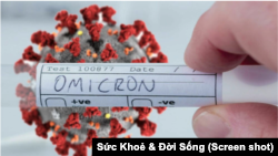 Ca nhiễm COVID-19 biến thể Omicron đầu tiên được ghi nhận ở Việt Nam là một người đàn ông nhập cảnh từ Anh.