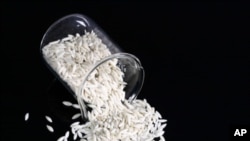 New Iron-Fortified Rice Reduces Anemia