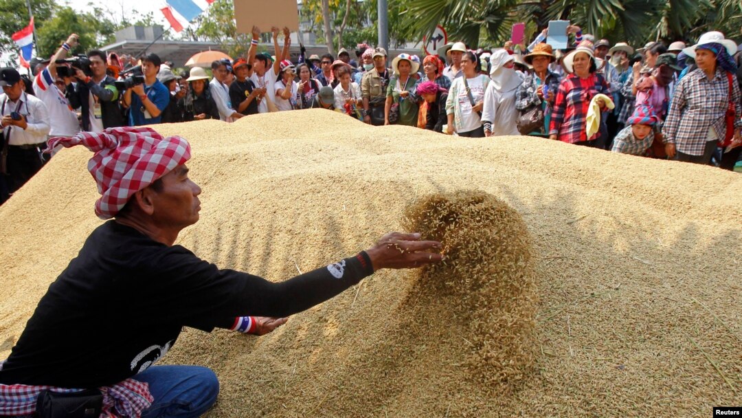 Chương trình trợ giá lúa gạo do cựu Thủ tướng Yingluck đề nghị là một trong những yếu tố giúp bà thắng cử quốc hội năm 2011.