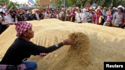 Farmers rearrange a pile of rice after dumping them on the ground outside a Bank for Agriculture and Agricultural Cooperatives in Bangkok, Thailand, during a rally demanding the Yingluck administration resolve delays in payment from the rice pledging scheme, March 11, 2014.