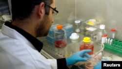 Researcher Xavier Nissan seen in his laboratory at the Institute for Stem cell Therapy and Exploration.