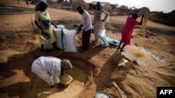 A handout picture released by the United Nations-African Union Mission in Darfur (UNAMID), April 7, 2014, shows displaced people collecting millet they had stored underground in Khor Abeche, South Darfur. According to the community leaders, more than 3,00