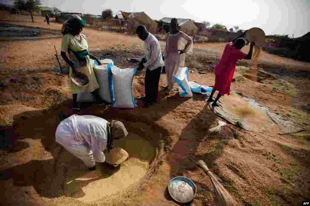 A handout picture released by the United Nations shows displaced people collecting millet, a type of grass seed for food, in South Darfur.