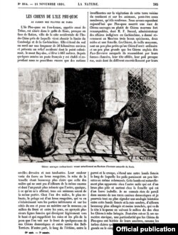 Trang đầu của bài viết về chó Phú Quốc trong báo La Nature năm 1891.