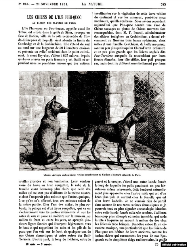 Trang đầu của bài viết về chó Phú Quốc trong báo La Nature năm 1891.