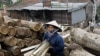 环保组织称越南军方从老挝偷运木材