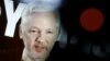 Fundador do WikiLeaks será ouvido por um procurador equatoriano na próxima semana