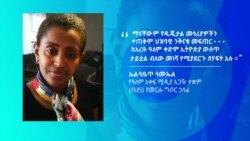 ኢንተርኔት ፡ የዲሞክራሲ ባህልን ደጋፊ ወይንስ አሰናካይ ?