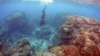 FILE - Oliver Lanyon, Senior Ranger in the Great Barrier Reef region for the Queenlsand Parks and Wildlife Service, takes photographs and notes during an inspection of the reef's condition in an area called the 'Coral Gardens' located at Lady Elliot Island, Queensland, Australia.