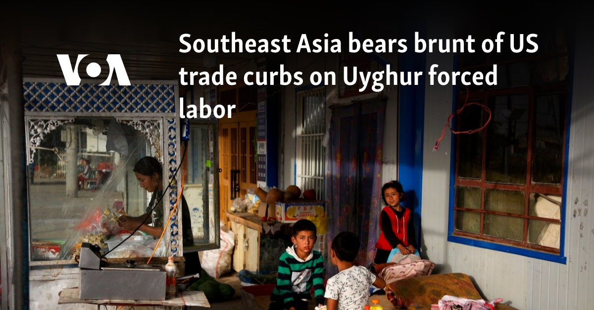 Southeast Asia bears brunt of US trade curbs on Uyghur forced labor