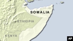 Eyewitness: Somali Pirates Tried to Seize Plane, Passengers