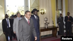 South Sudan's President Salva Kiir (C) walks with Ethiopia's Prime Minister Hailemariam Desalegn (3rd L) as he arrives for talks with leaders from Sudan in the Ethiopian capital Addis Ababa, January 4, 2013.